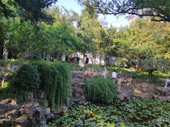 -上海醉白池公园