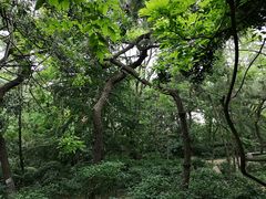 -观象山公园