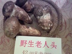 -钦善斋(武侯祠店)