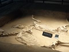 -洛阳周王城天子驾六博物馆