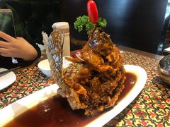 糖醋鲤鱼-城南往事·鲁菜济南菜(软件园美莲广场店)