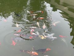 -安吉竹博园