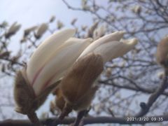 -汇泉广场