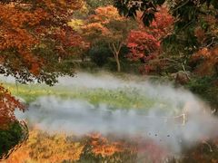 -田野绿世界