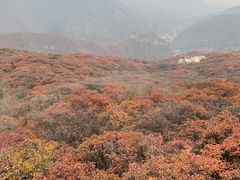 -周口店坡峰岭风景区
