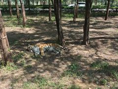 -秦皇岛野生动物园