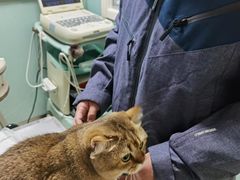 -纳吉亚猫专科动物医院博雅分院