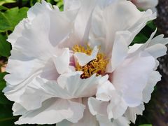 -狼山风景名胜区