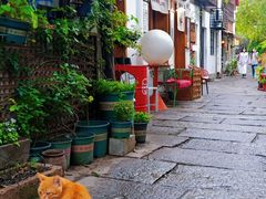 -小河直街历史文化街区