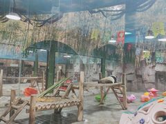 -栾川竹海野生动物园