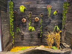 -一只烧鸡公(解放碑店)