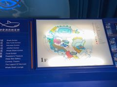 -烟台海昌鲸鲨海洋公园