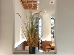 -森Some Fusion(荔湾店)