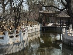 -桃花堤公园