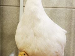 -西安烤鸭店(369烤鸭王店)