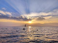 -大理洱海