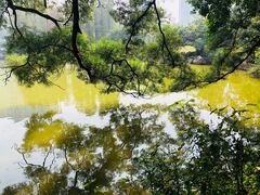 -四海公园(南山区)