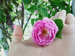 -尚贤河湿地