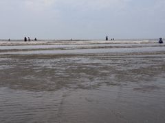 -江山半岛白浪滩景区