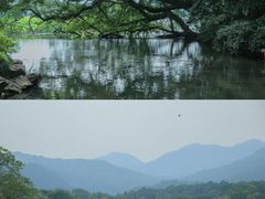 -云栖竹径