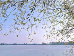 -贡湖湾湿地公园