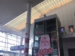 -国际邮轮中心码头(厦鼓码头)