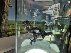 -辽宁古生物博物馆