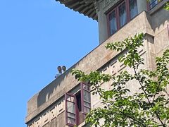 -武汉大学-樱园