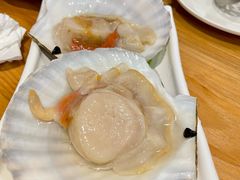 大扇贝-吉友粥底火锅(方斜路店)