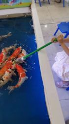 -孩子王童乐园(淮安万达店)