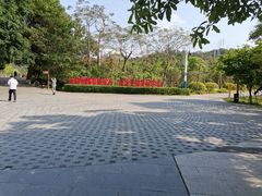 -中山市树木园
