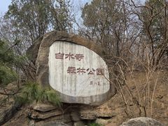 -白水寺森林公园