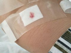 -上海中医药大学附属曙光医院(东部)