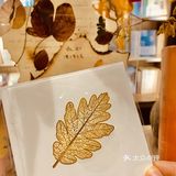 打卡钟书阁，在里面待不过10分钟就出来了