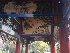 -洛龙公园