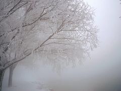 -中旅松花湖滑雪场
