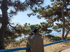 -八大关景区