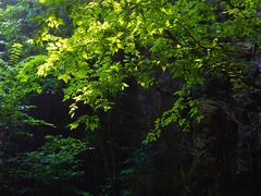 -北京上方山国家森林公园