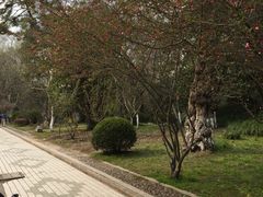 -三好坞景观餐厅