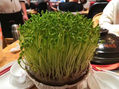 -好彩猪肚鸡(正弘城店)