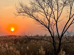 -野鸭湖国家湿地公园