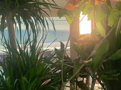 -桂满陇·蟹黄小笼汤包(清河万象店)