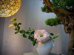 -祝家花園(伯渎港店)