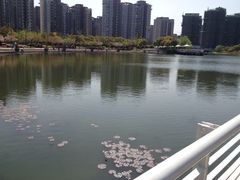 iphone_upload_pic-新江湾城公园