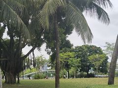 -深圳湾公园(南山区)