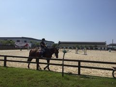 松声马术俱乐部-松声马术俱乐部