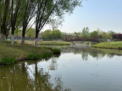 -西安浐灞国家湿地公园