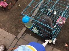 -前小桔亲子创意农场·草莓采摘·露营烧烤