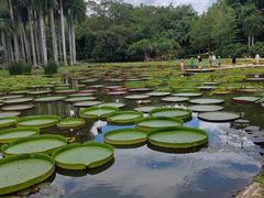 -中国科学院西双版纳热带植物园
