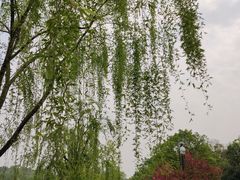-苏堤停车场